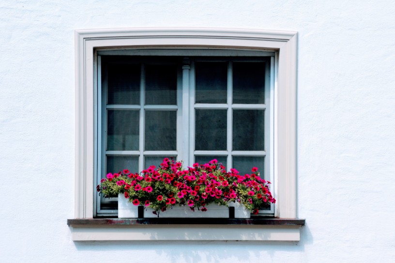 Bright white wall with timid flower palette