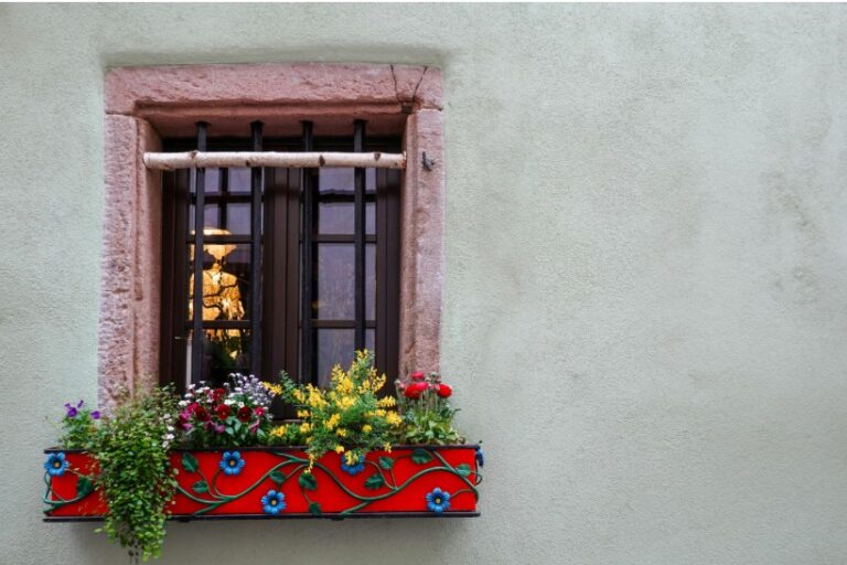 Flower Window Box Ideas That Complement Your Paint Colors