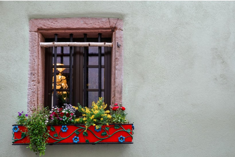 Flower Window Box Ideas That Complement Your Paint Colors