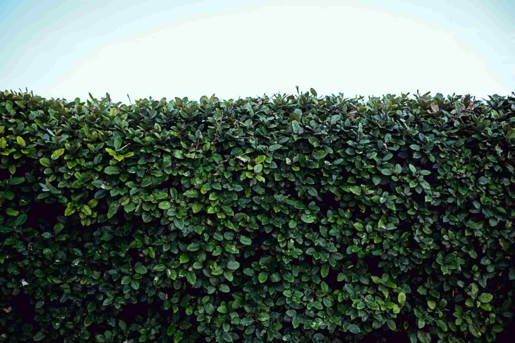 Exterior Home Updates