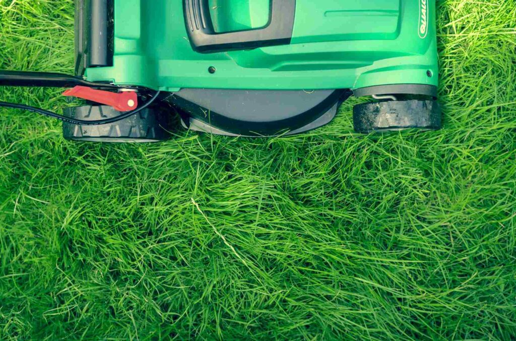 How to Keep Your Lawn Edges Crisp and Professional