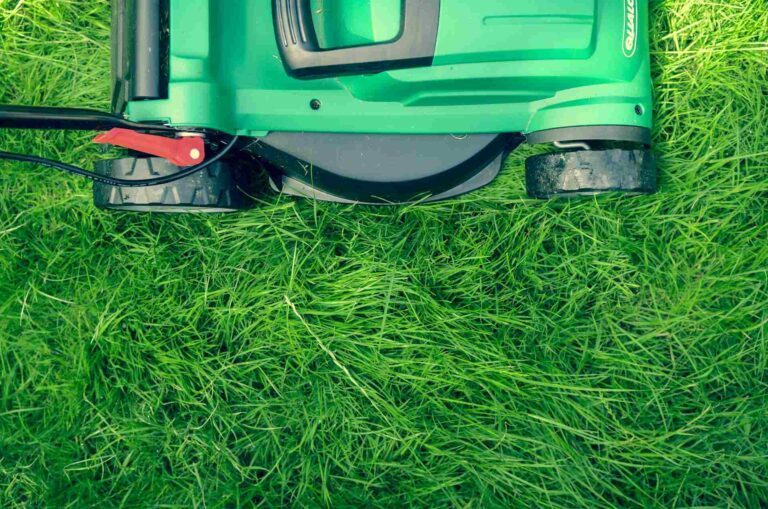 How to Keep Your Lawn Edges Crisp and Professional