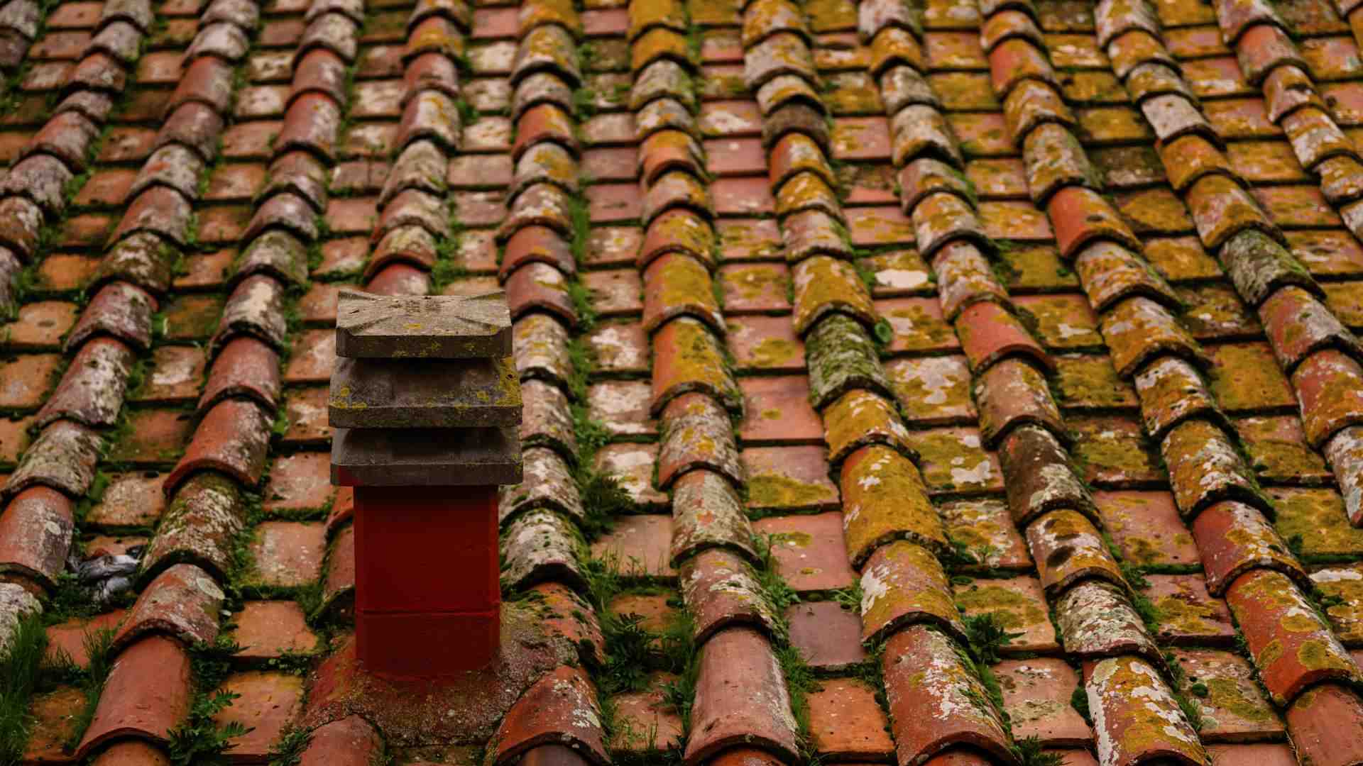 Signs Your Roof Needs Replacement