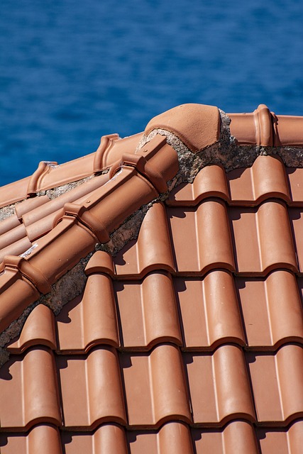 shingles and tiles for roof