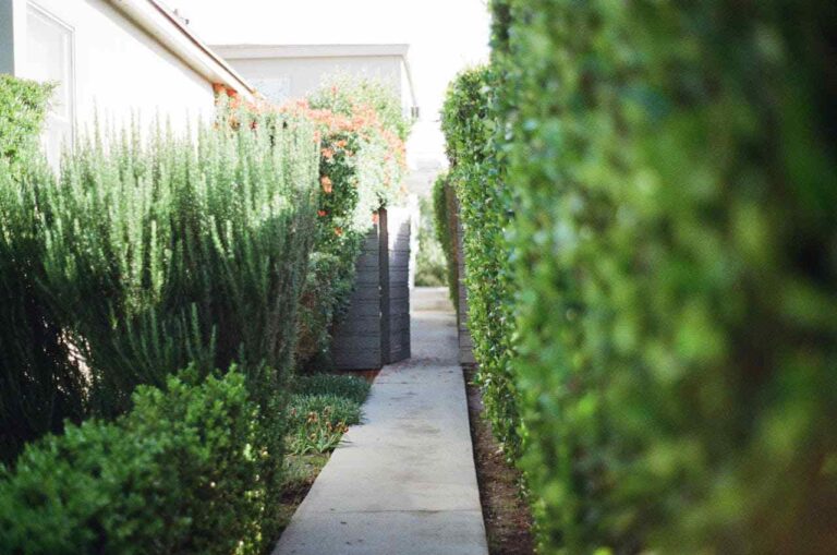 6 Ways Better Drainage Supports Exterior Surface Longevity