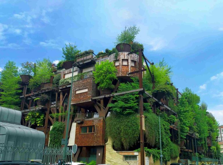 Affordable Eco-Friendly Design Tips for Homeowners