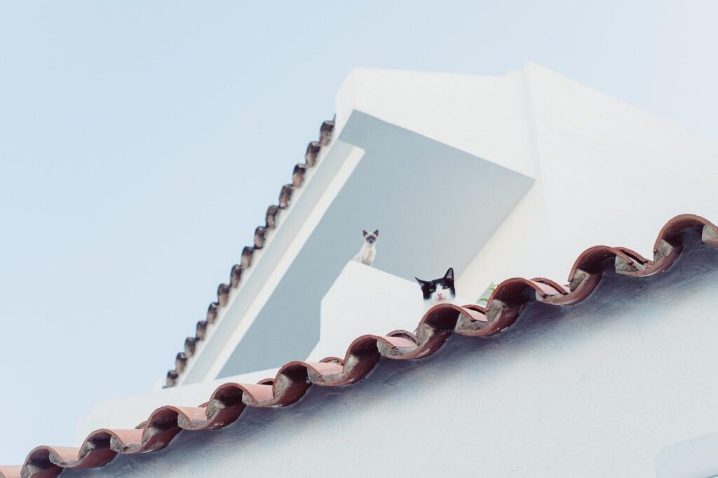 New Roof