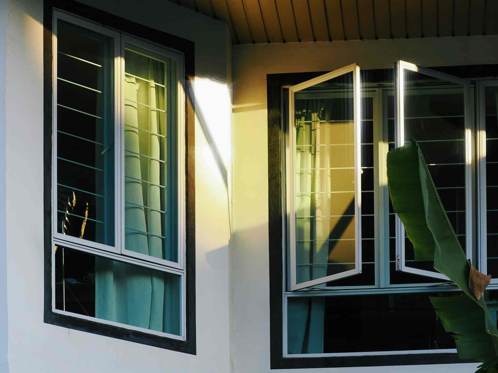 What Causes Mold Around Windows