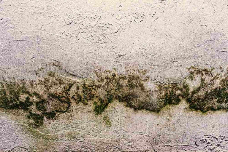 What Is Water Damage and How Can You Restore Your Home Afterward