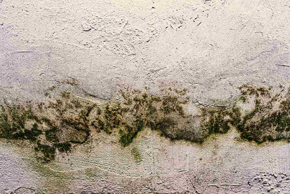 What Is Water Damage and How Can You Restore Your Home Afterward