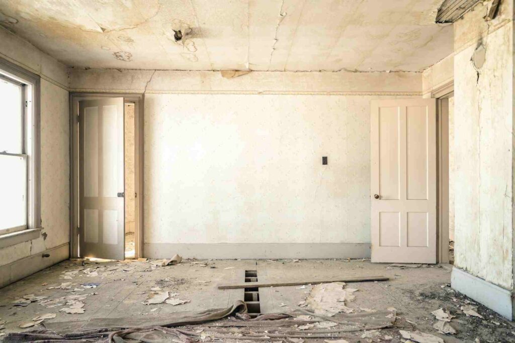 Pest-Free Renovation