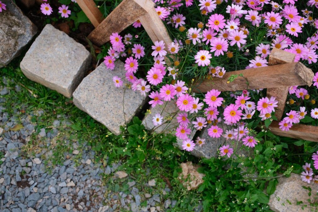 Garden edging and flowers