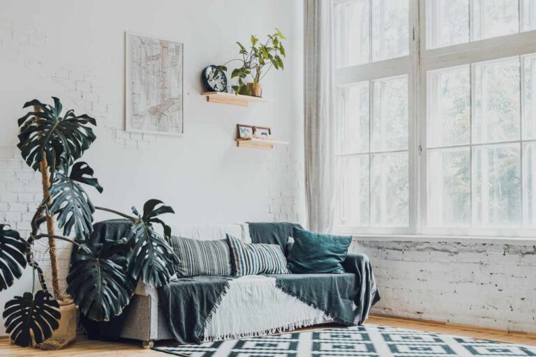 How New Windows Can Refresh Your Entire Home