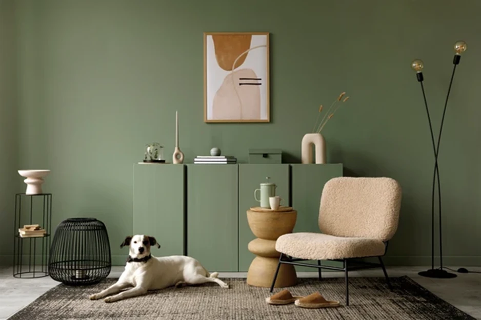 How Room Air and Dust Affect a Fresh Paint Job