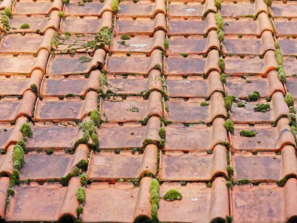 Roofing Meets Curb Appeal