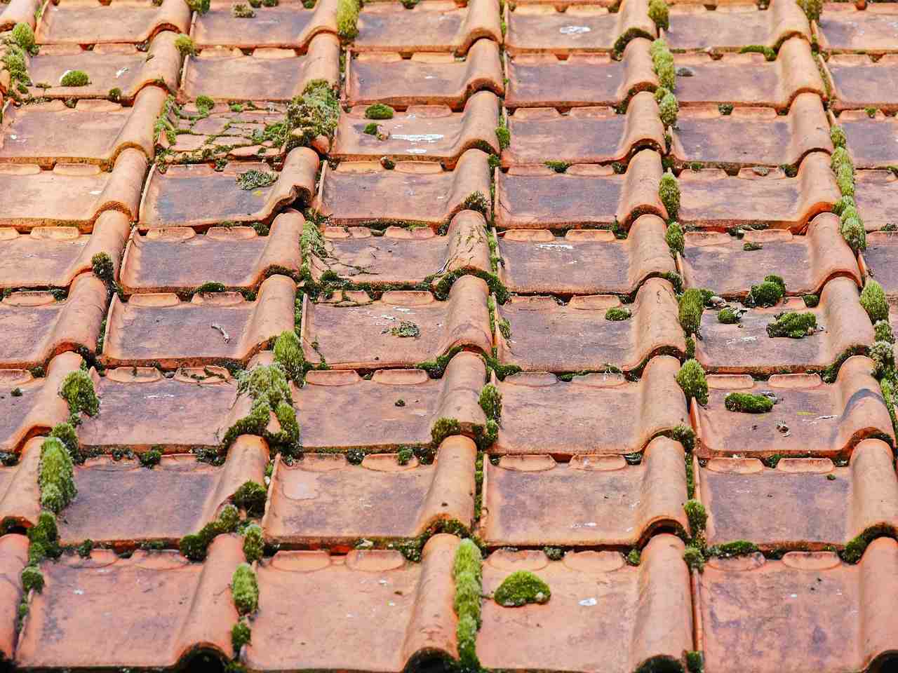 Roofing Meets Curb Appeal