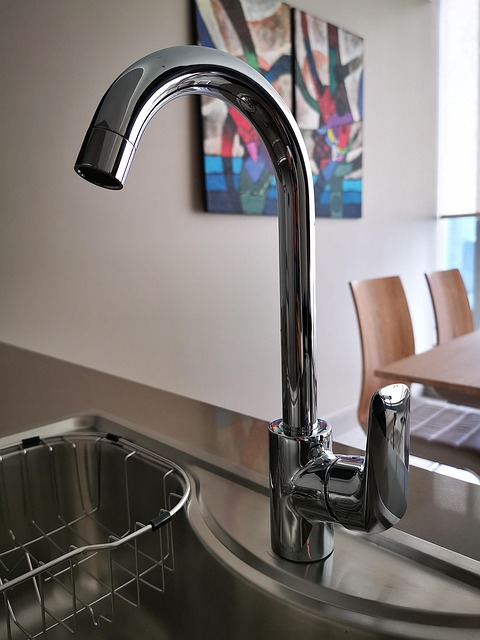 Routine Plumbing Inspection