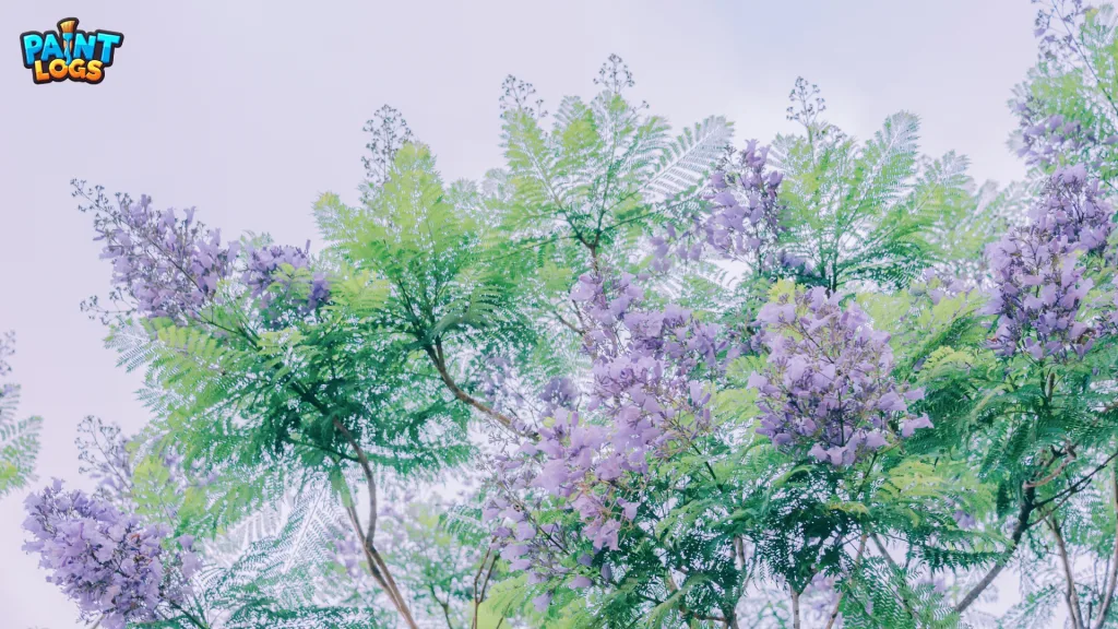 How Do Our Eyes Perceive Light Purple?