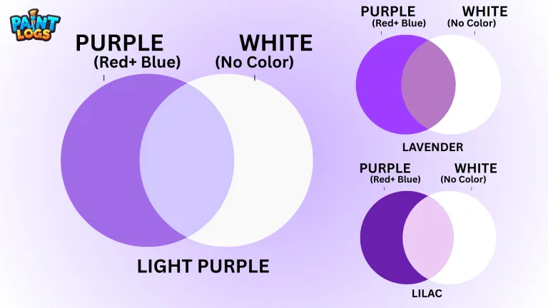 What Color Do Purple and White Make? Complete Color Mixing Guide