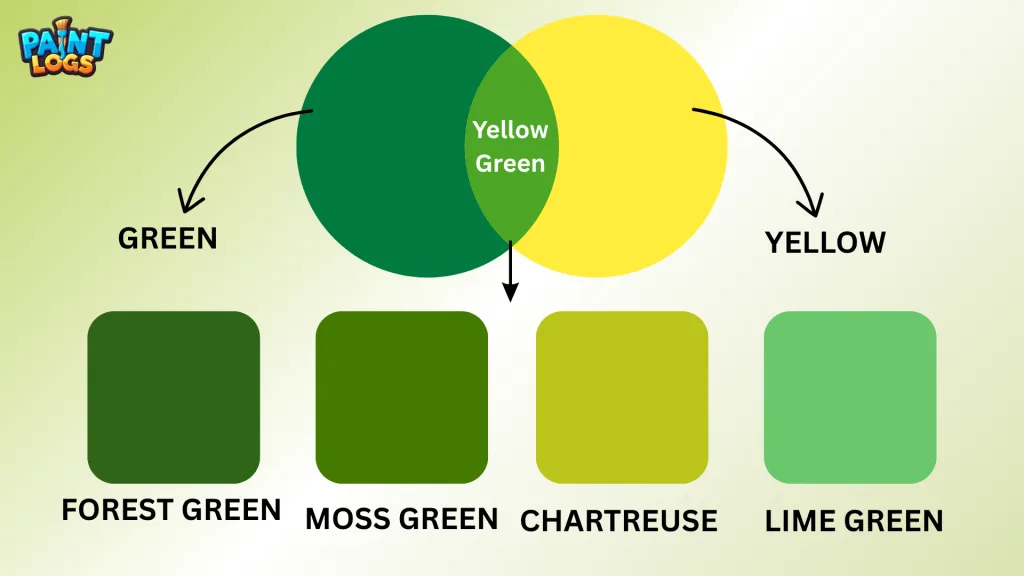 What Does Yellow and Green Make? Quick Answer