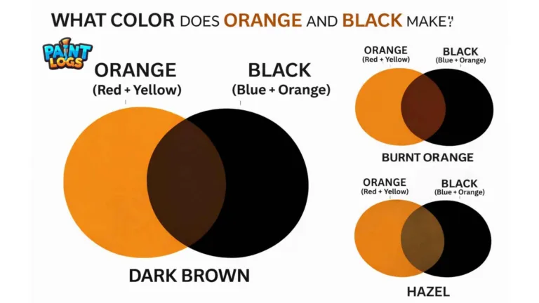 Orange and Black Make What Color A Complete Guide