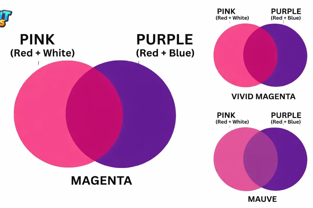 Pink and Purple Make What Color Complete Mixing Guide