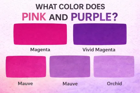 Pink and Purple Make What Color? Complete Mixing Guide