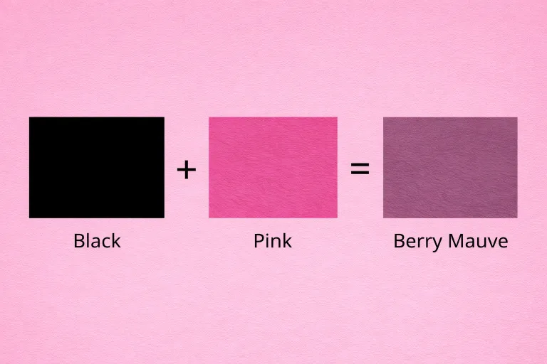 What Color Does Pink and Black Make When Mixed Complete Guide