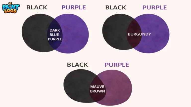 What Color Does Purple and Black Make When Mixed? Complete Guide