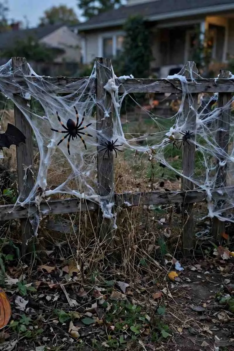 Garden fence covered in fake spider web with large plastic spiders